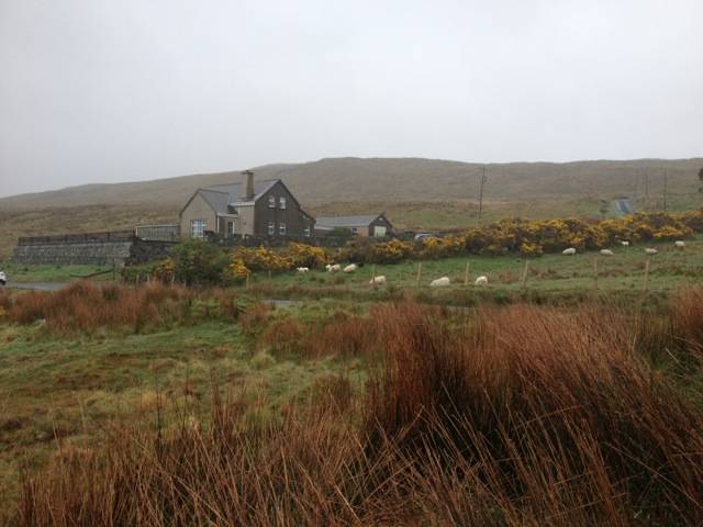 Farm with sheep grazing